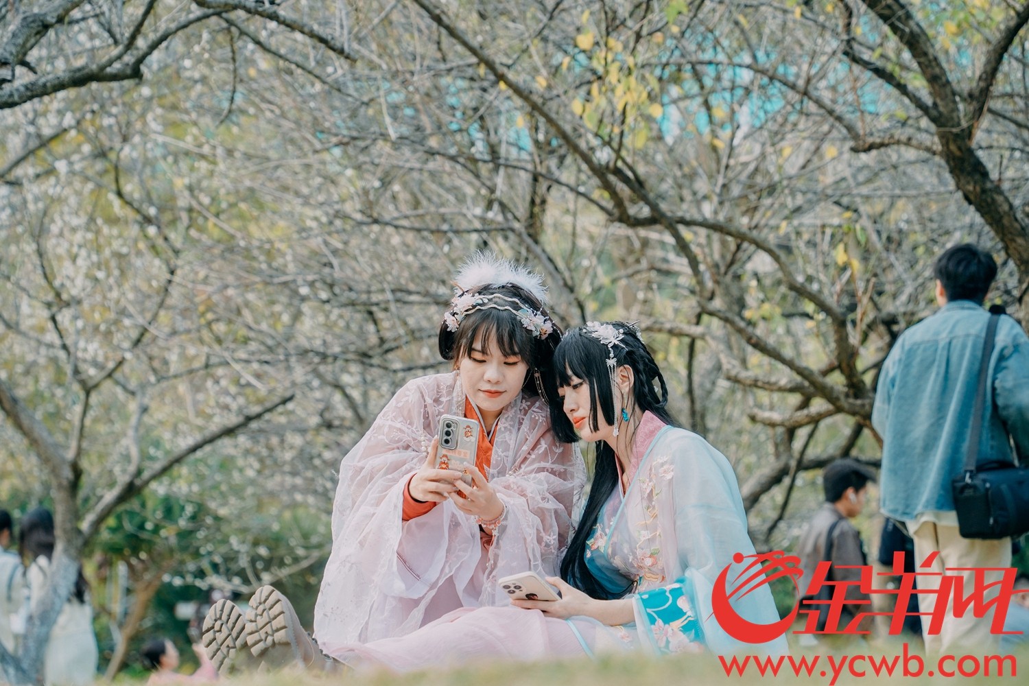 梅花树下，穿着汉服的女生们打卡拍照