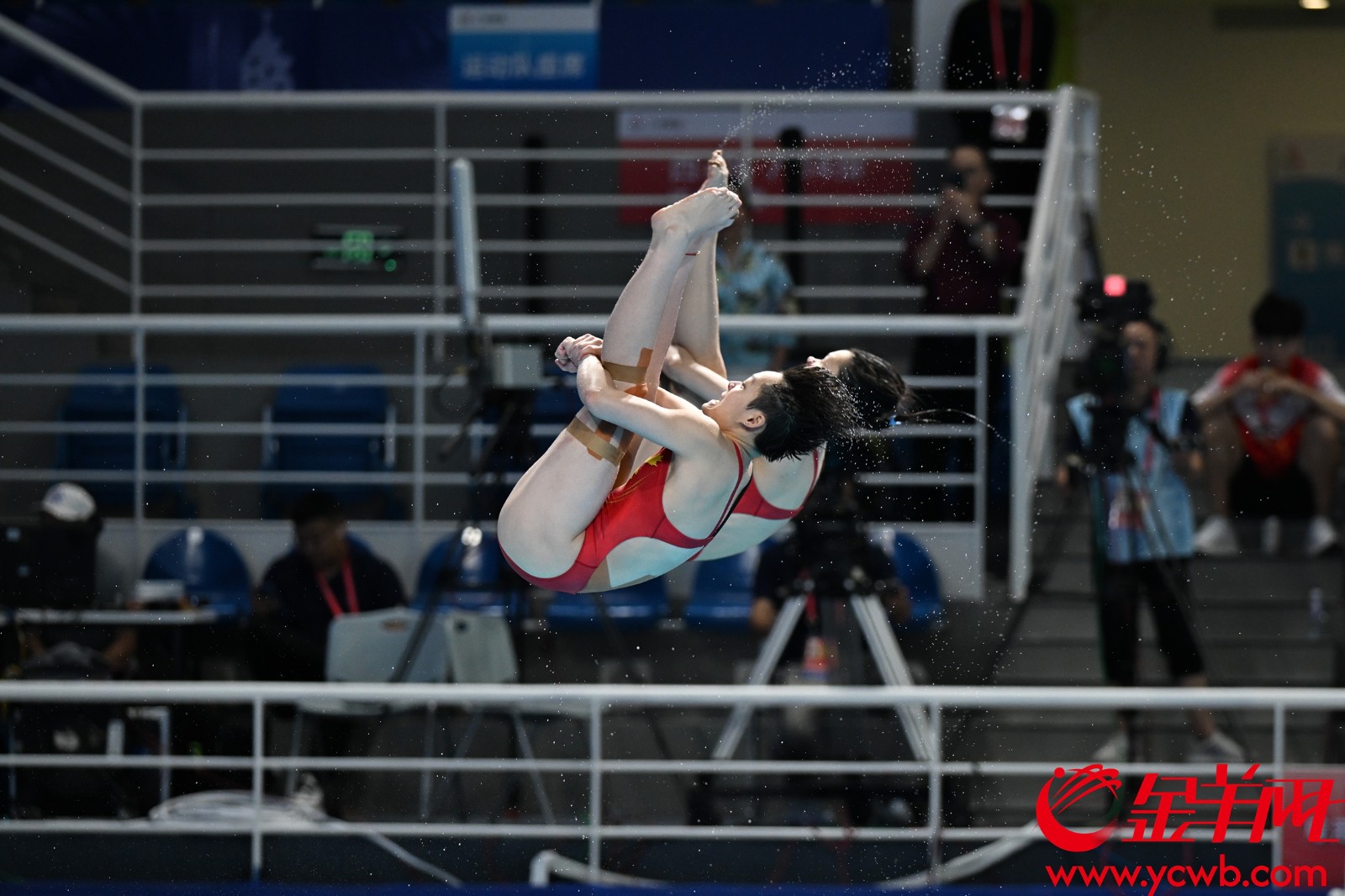 跳水——女子双人3米跳板(23802370)-20251107185756.jpg
