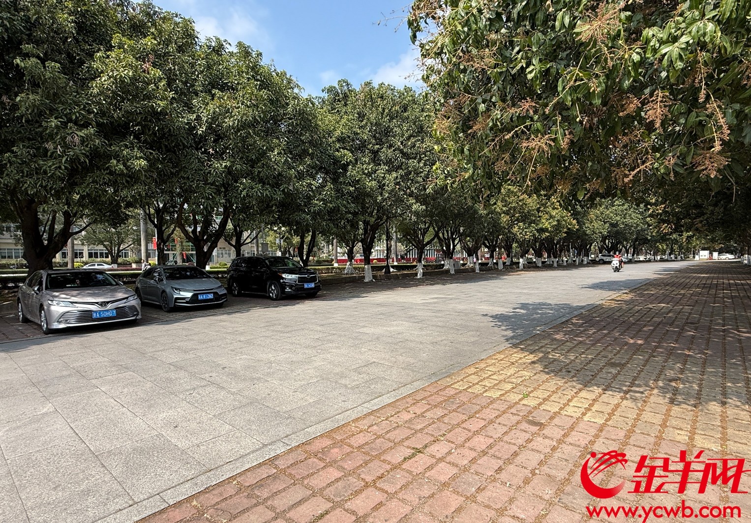  广州市花都区人民政府大院停车环境