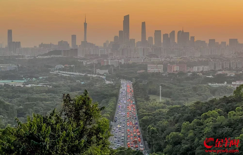 华南快速路。羊城晚报记者 梁怿韬 摄 华南快速路。羊城晚报记者 梁怿韬 摄