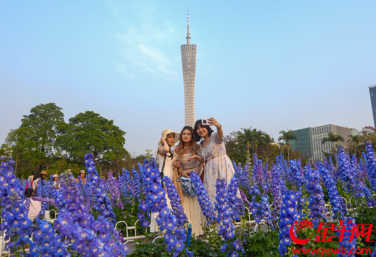  广州今年3月19日“入夏”，较常年“入夏”日期提早28天 资料图/梁怿韬 摄
