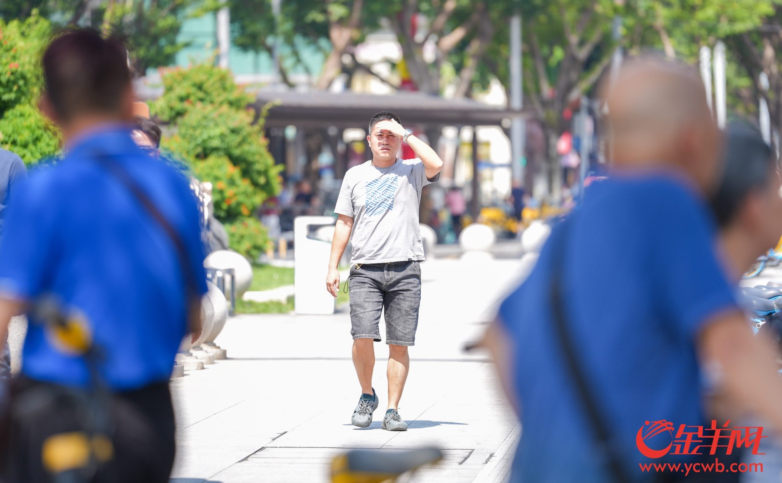 广东高温天气持续,广州市民烈日下出行。羊城晚报记者 梁怿韬 摄 广东高温天气持续,广州市民烈日下出行。羊城晚报记者 梁怿韬 摄