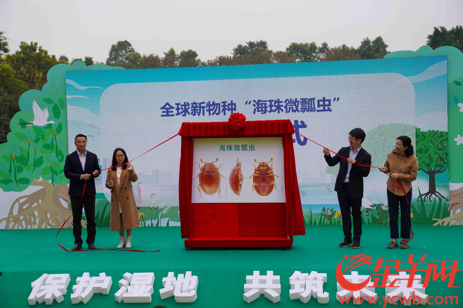  2月16日，广东省“世界湿地日”暨红树林保护宣传活动在广州海珠国家湿地公园举行