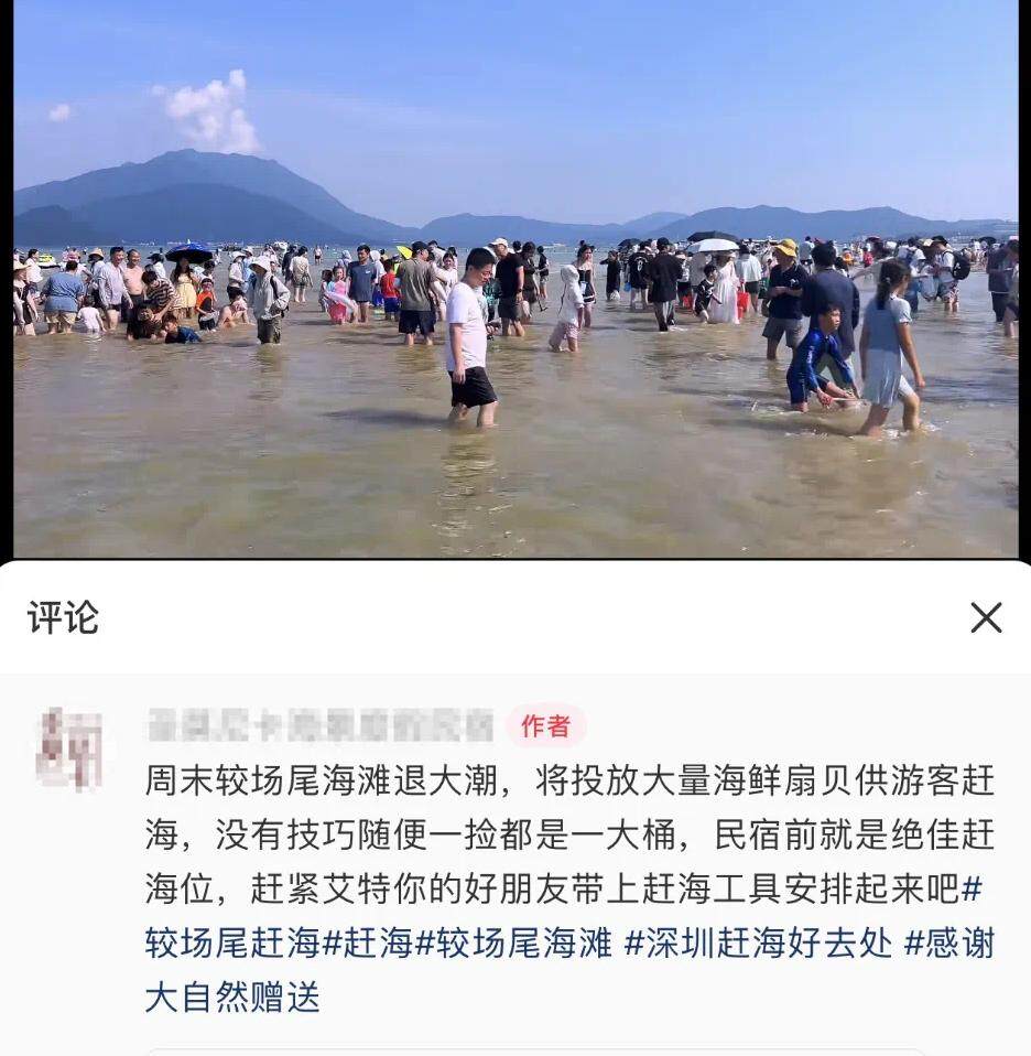 网上热传的赶海视频，截图来自网络
