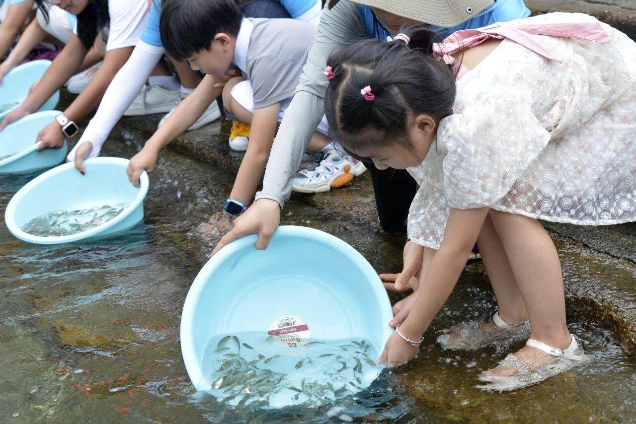 环保组织举办的增殖放流行动（蓝色海洋供图）