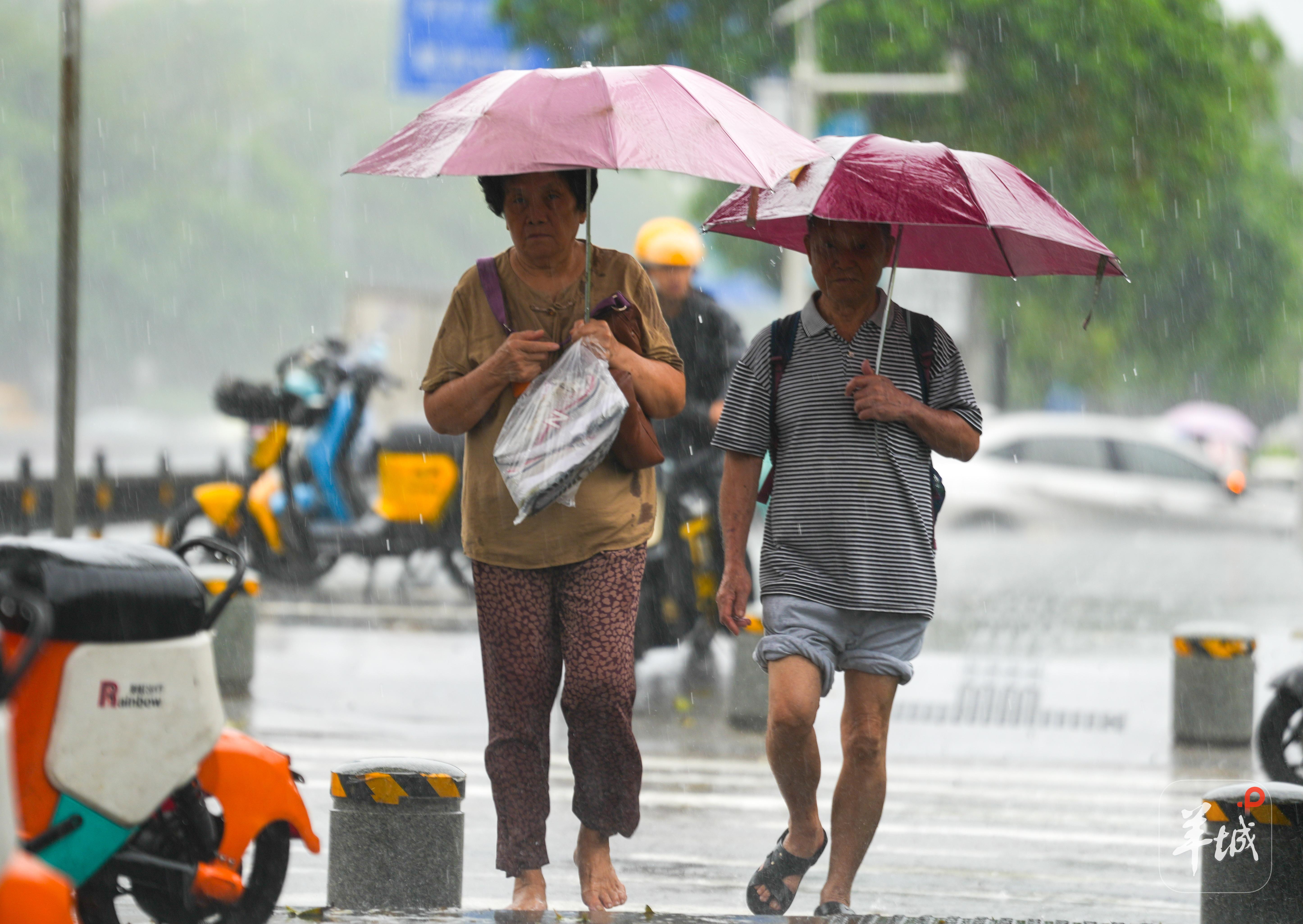 8月5日，广州市民雨中出行。羊城晚报记者 梁怿韬 摄