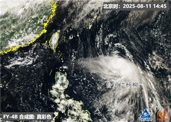  8月11日下午台风“杨柳”卫星云图