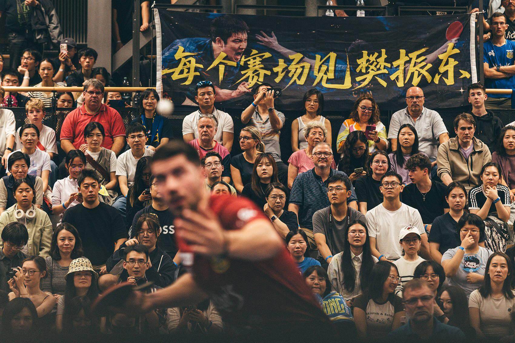 樊振东在德国引发的轰动堪称现象级