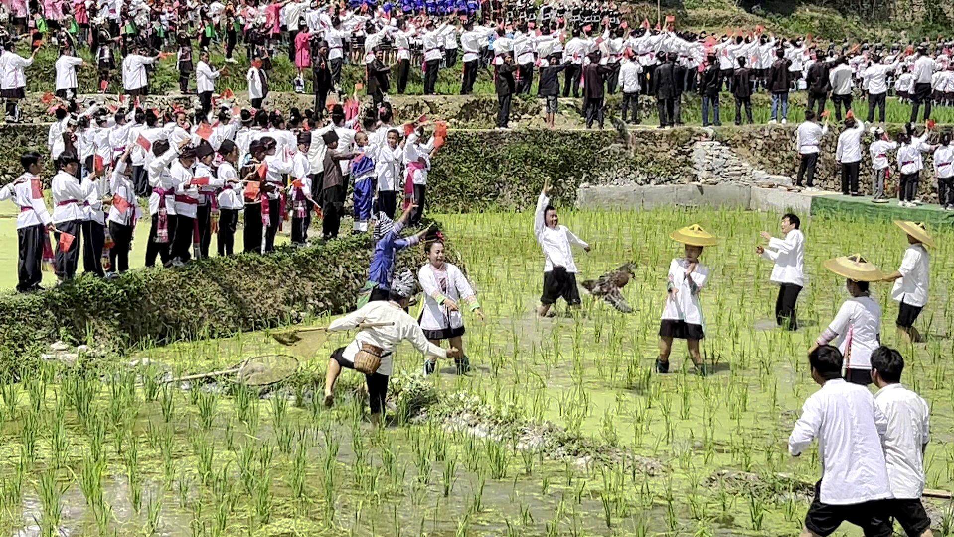  贵州当地的歌舞表演