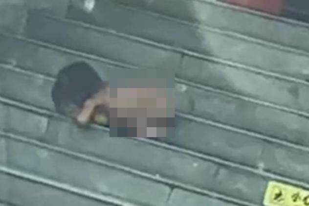  ▲孩子俯身啃咬台阶上的水果 视频截图