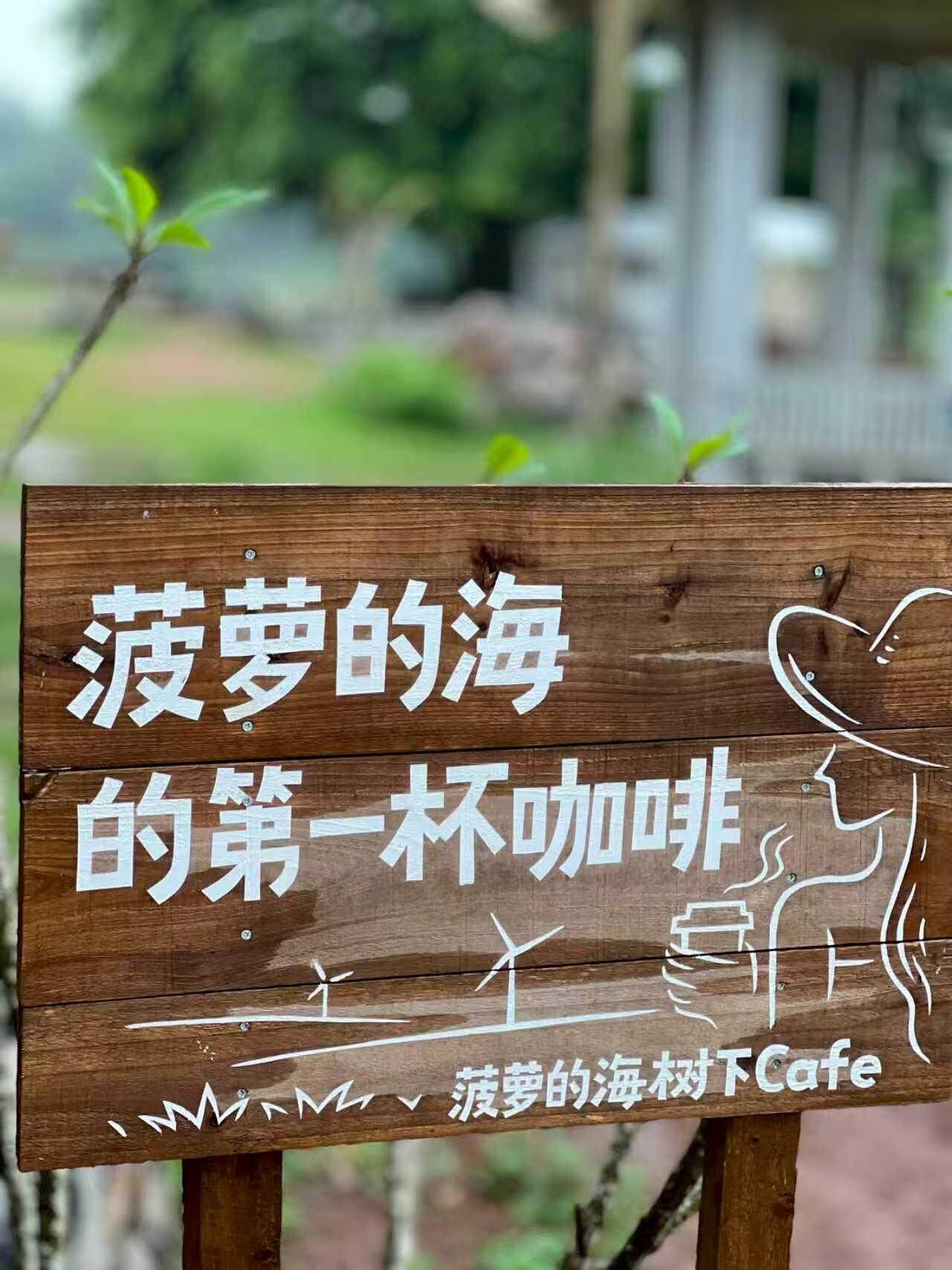 湛江的闲适