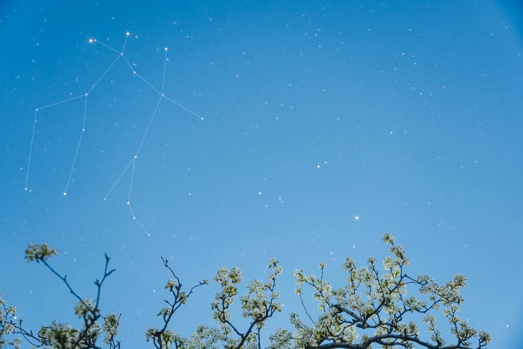 2025年4月2日，在北京市房山区琉璃河镇贾河村拍摄的梨花和双子座。（王俊峰 摄）