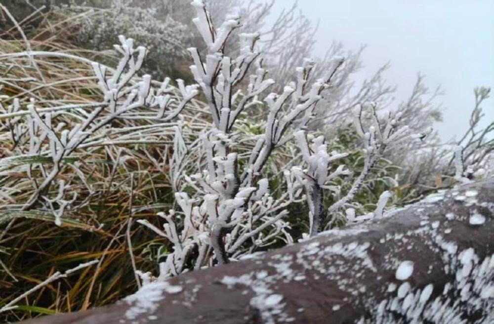 清远连山金子山出现雾凇冰挂现象 连山金子山景区供图