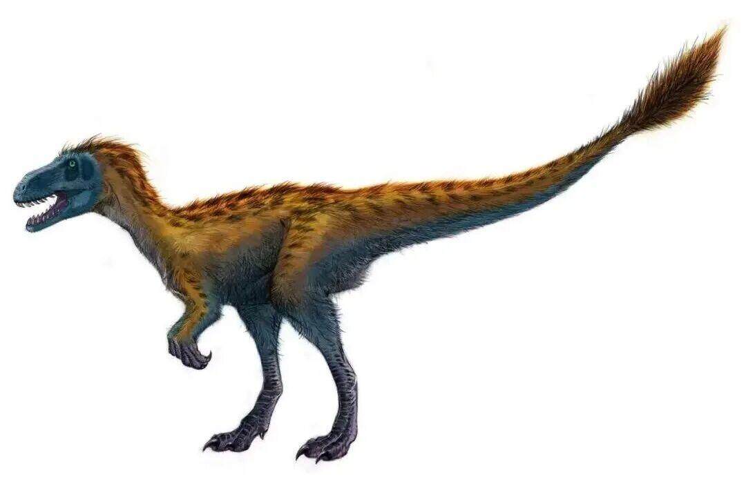 兽脚类恐龙 复原图 兽脚类恐龙 复原图