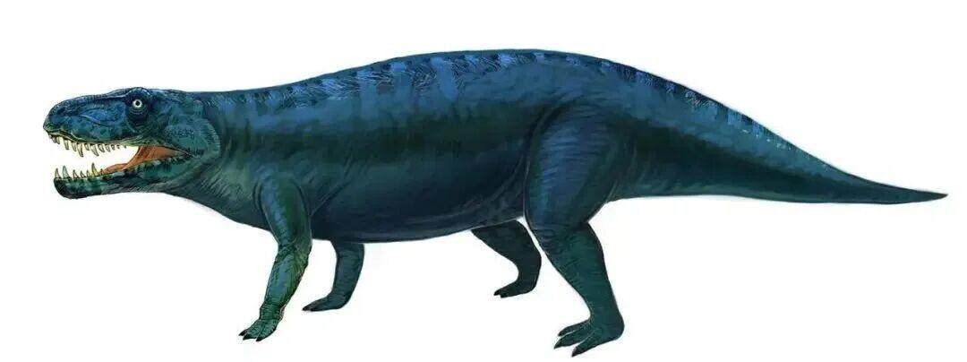 假鳄类动物 复原图 假鳄类动物 复原图