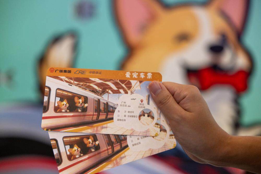 爱宠车票 石建华 摄 爱宠车票 石建华 摄