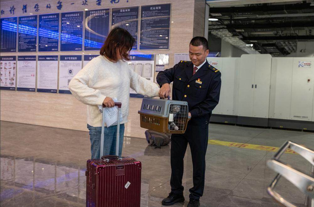 广州白云站高铁宠物托运服务首批“毛孩子”安全到站。石建华 广州白云站高铁宠物托运服务首批“毛孩子”安全到站。石建华