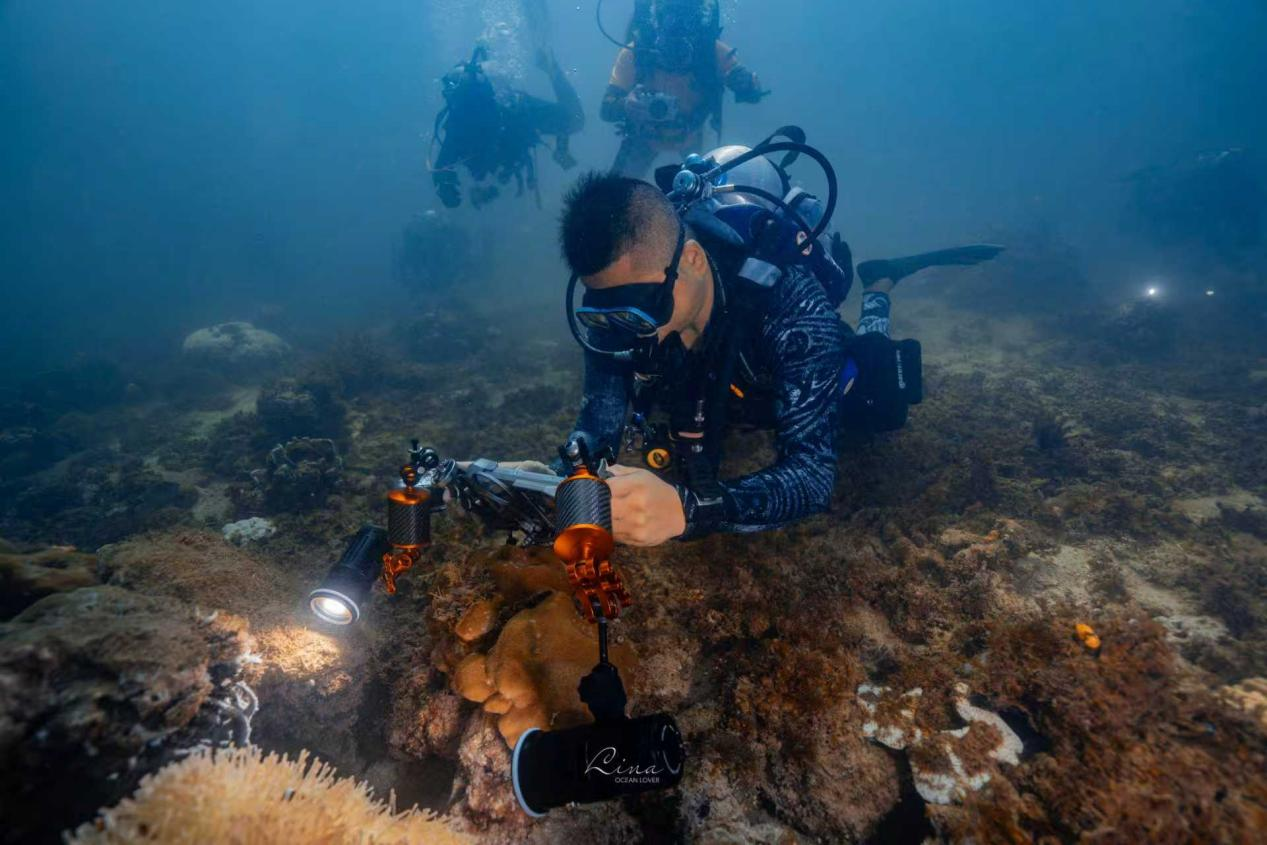 图/小羊拍客@万岛潜水