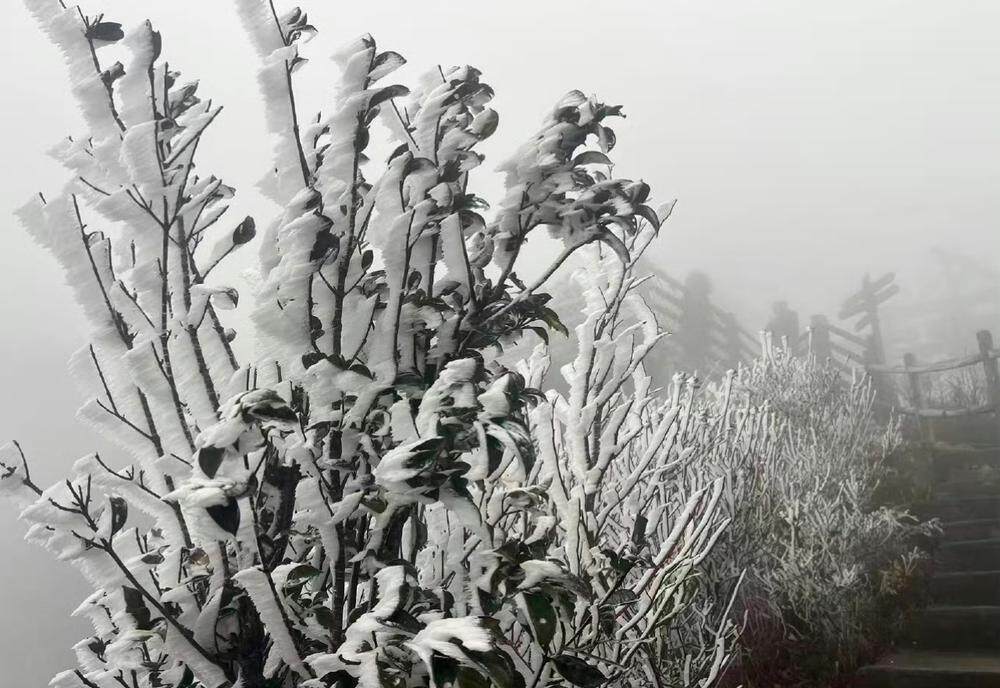 受冷空气影响，连山金子山再次出现冰挂现象 连山金子山景区供图