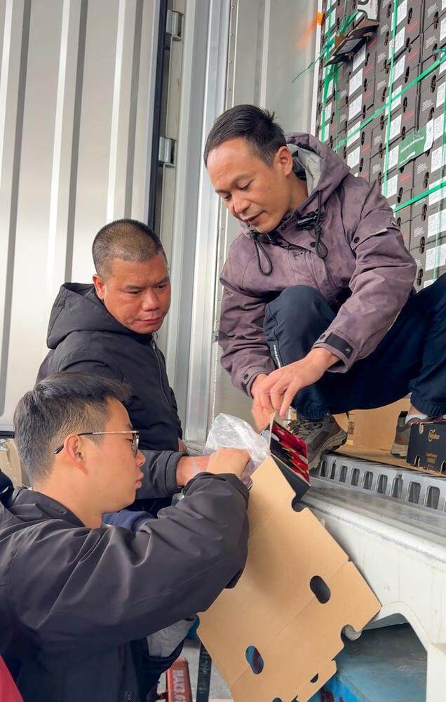 采购商检查车厘子品质