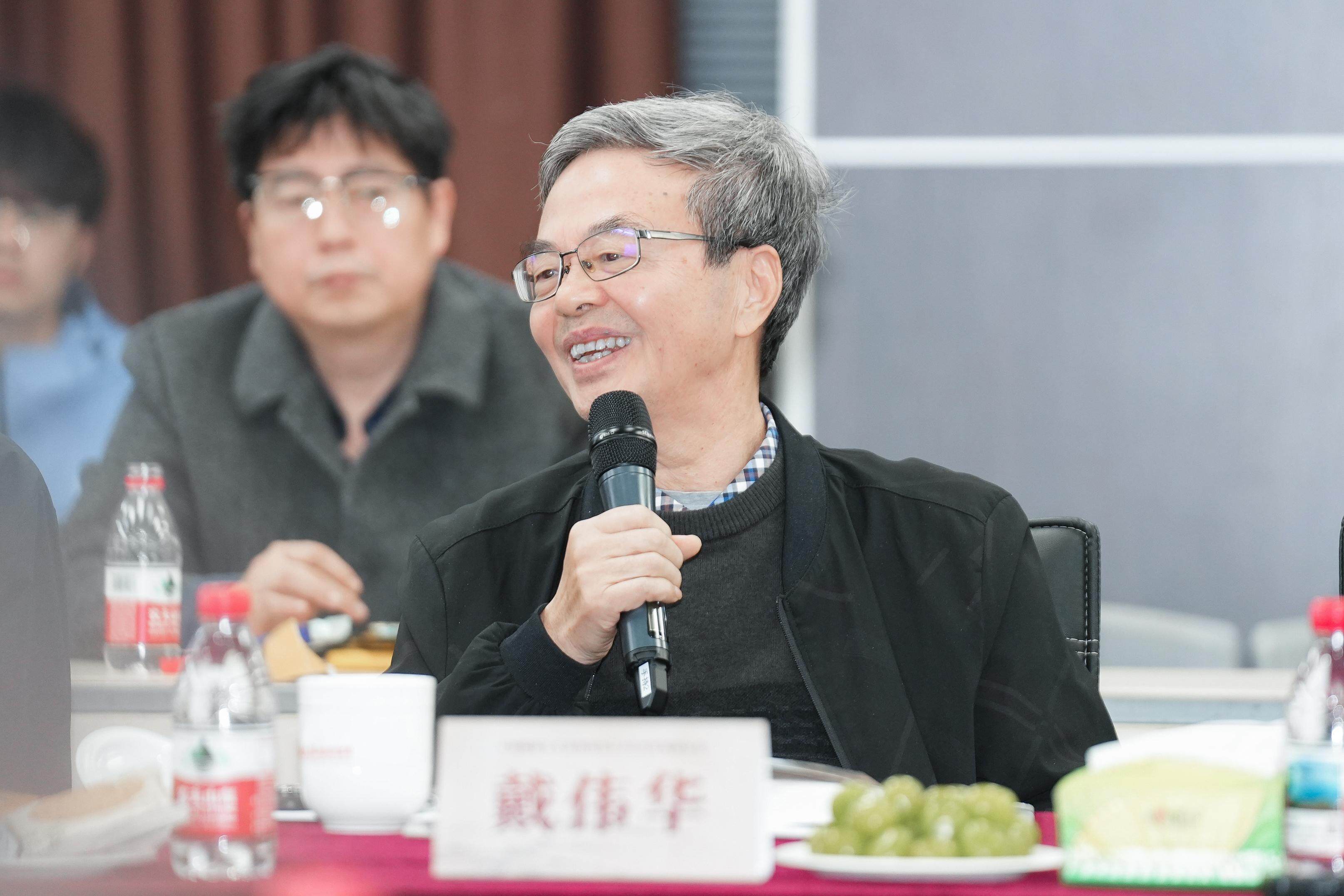 戴伟华先生发言