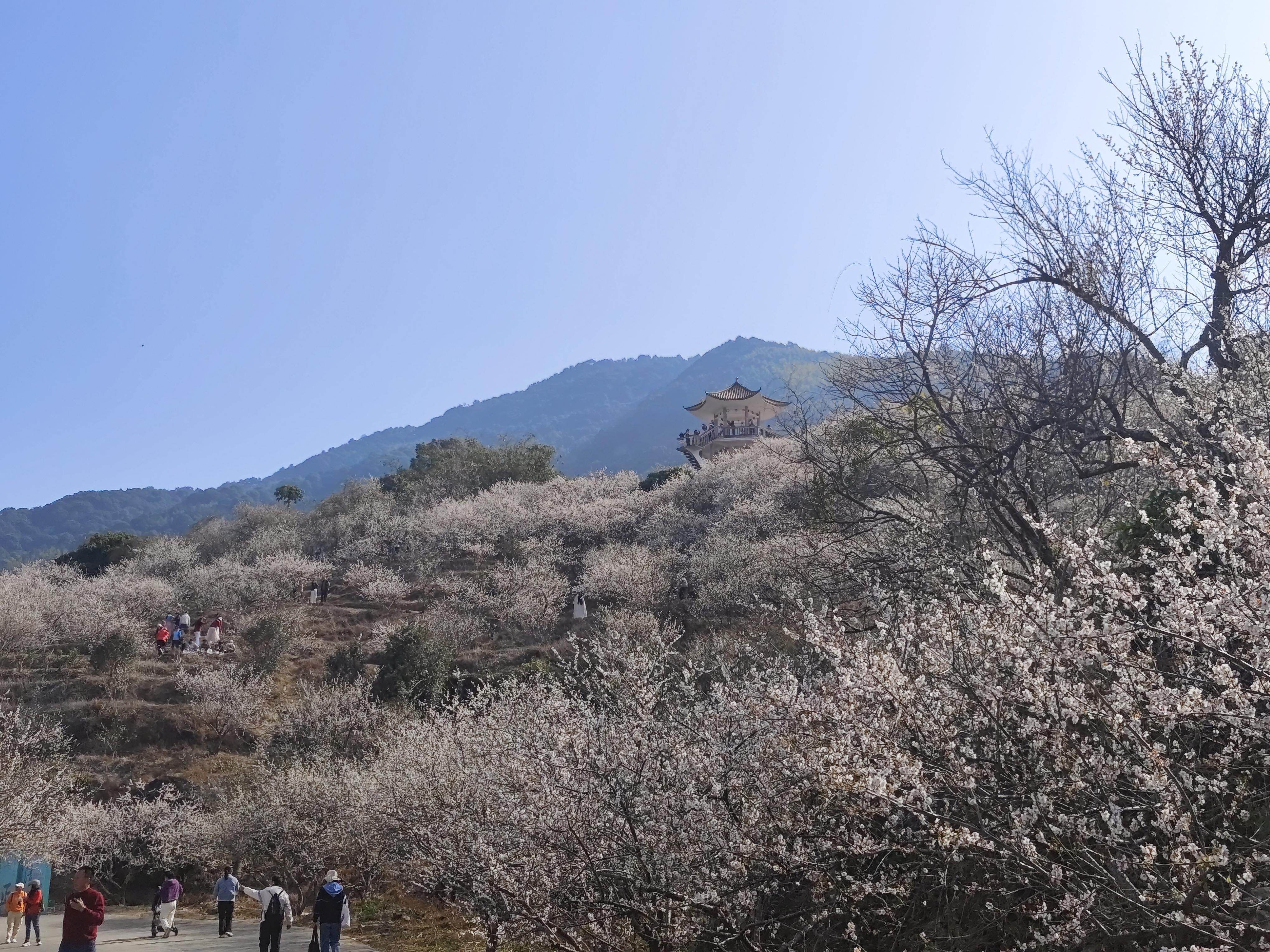  流溪香雪 旅行社供图