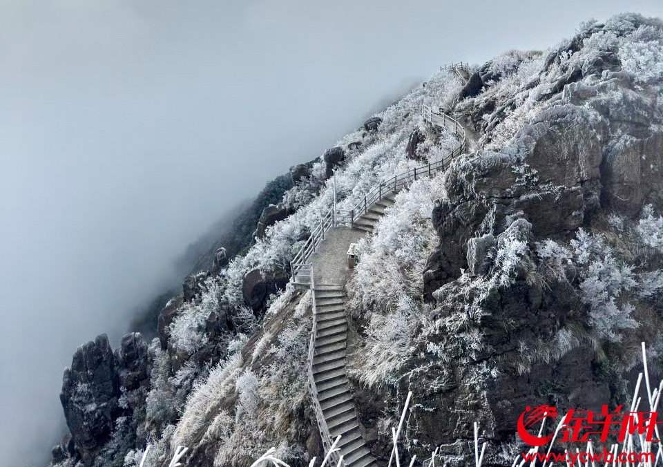粤北高海拔山区或有雨夹雪或冻雨 连山金子山景区供图(资料图片) 粤北高海拔山区或有雨夹雪或冻雨 连山金子山景区供图(资料图片)