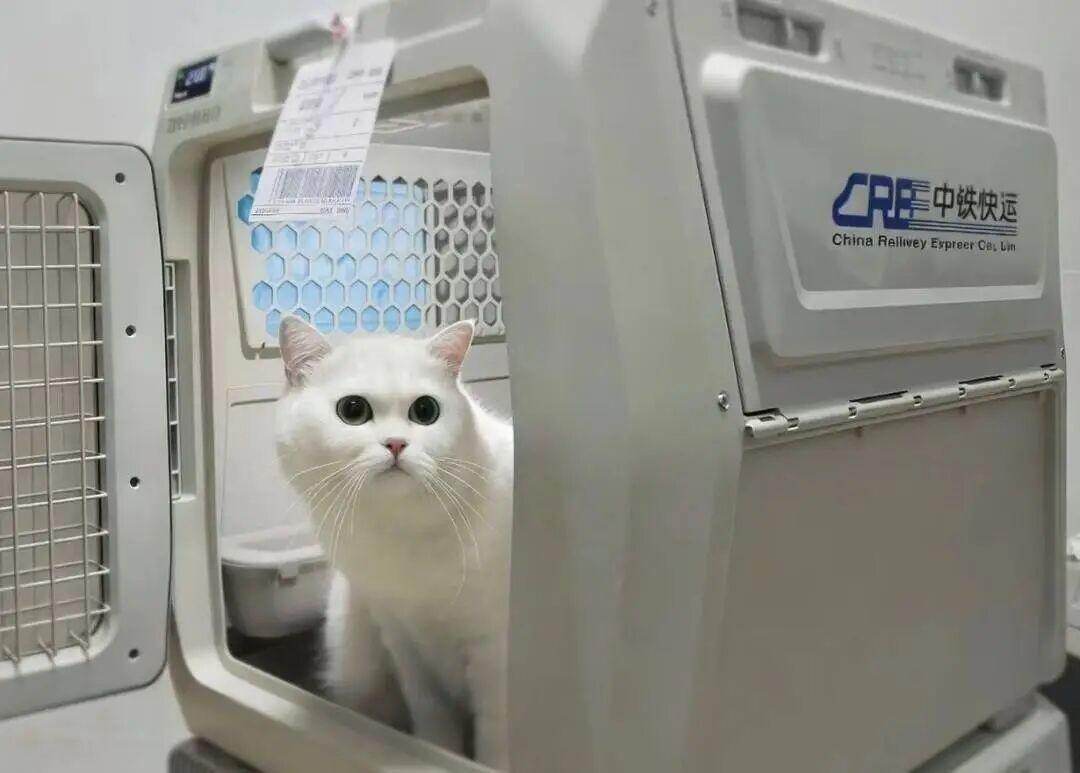 高铁宠物托运箱。 图/中铁快运微信公号
