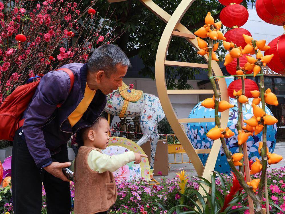  家长带着孩子赏花