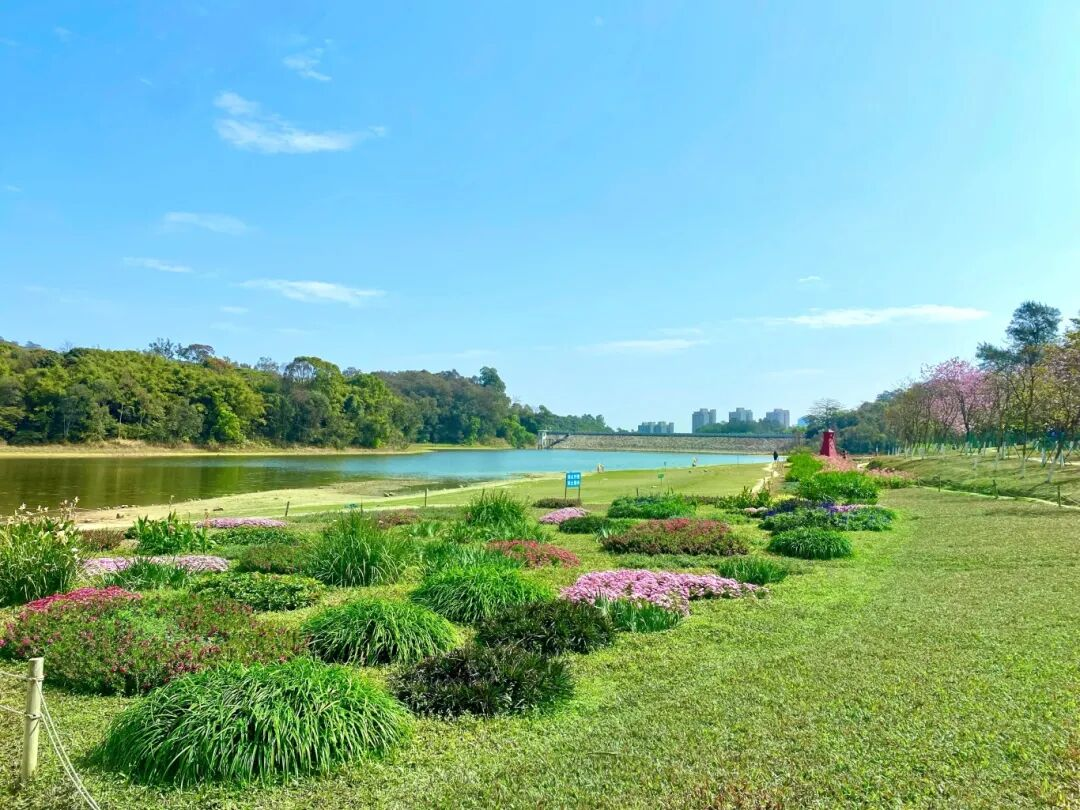 森林公园景色 森林公园景色