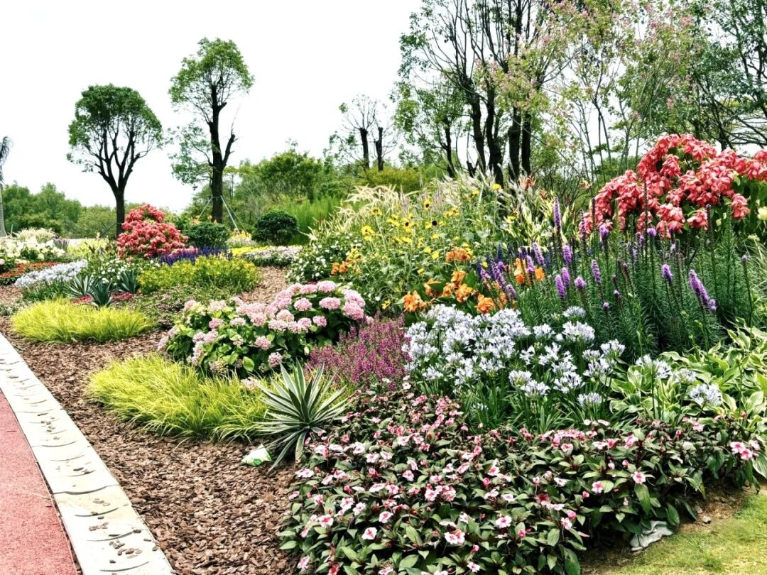 滨海花景 滨海花景