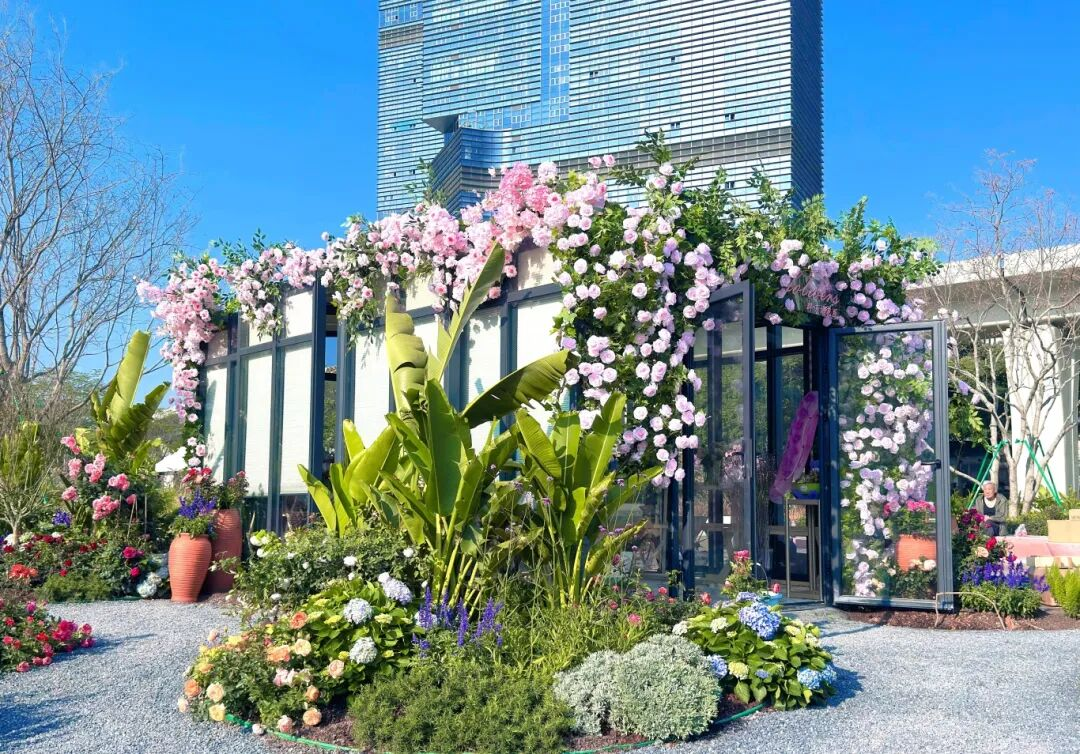 阳光花房 阳光花房