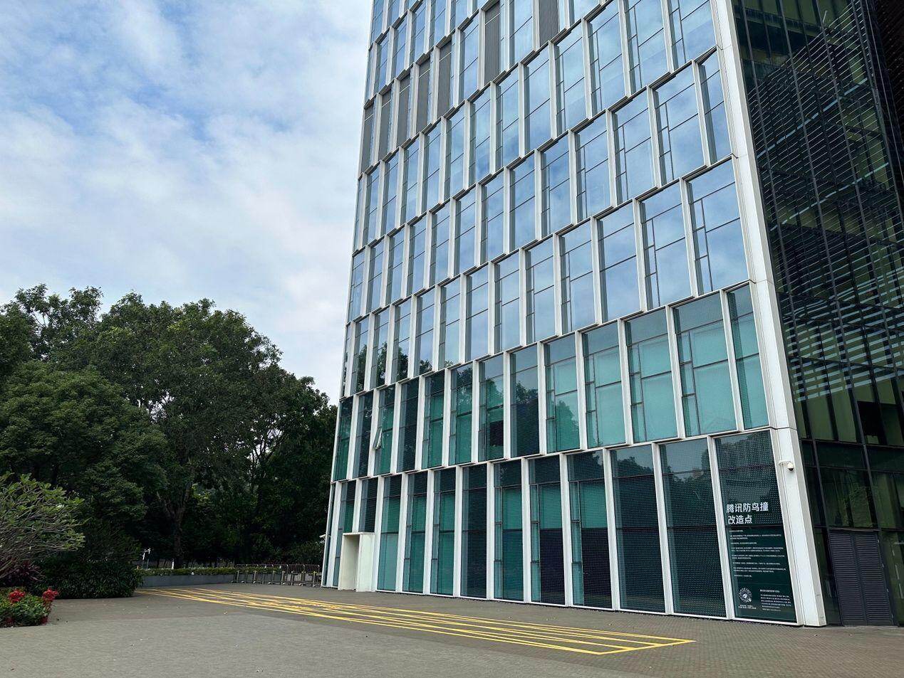 腾讯滨海大厦防鸟撞改造点实景图。 腾讯滨海大厦防鸟撞改造点实景图。