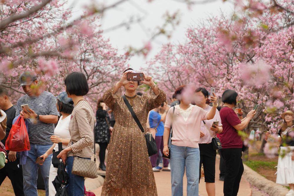 往年资料图 往年资料图