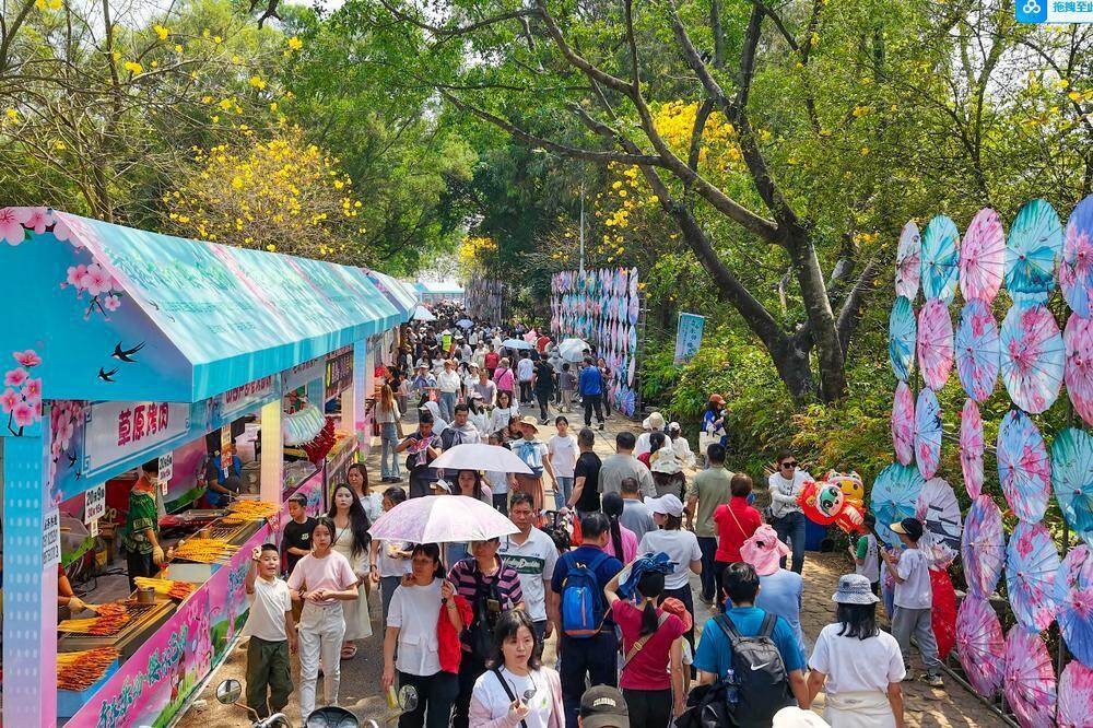 2025年樱花节人气爆满 2025年樱花节人气爆满