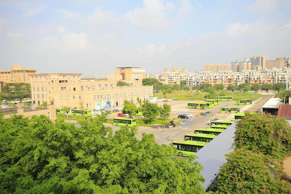 本次樱花节将进一步优化出行保障 本次樱花节将进一步优化出行保障