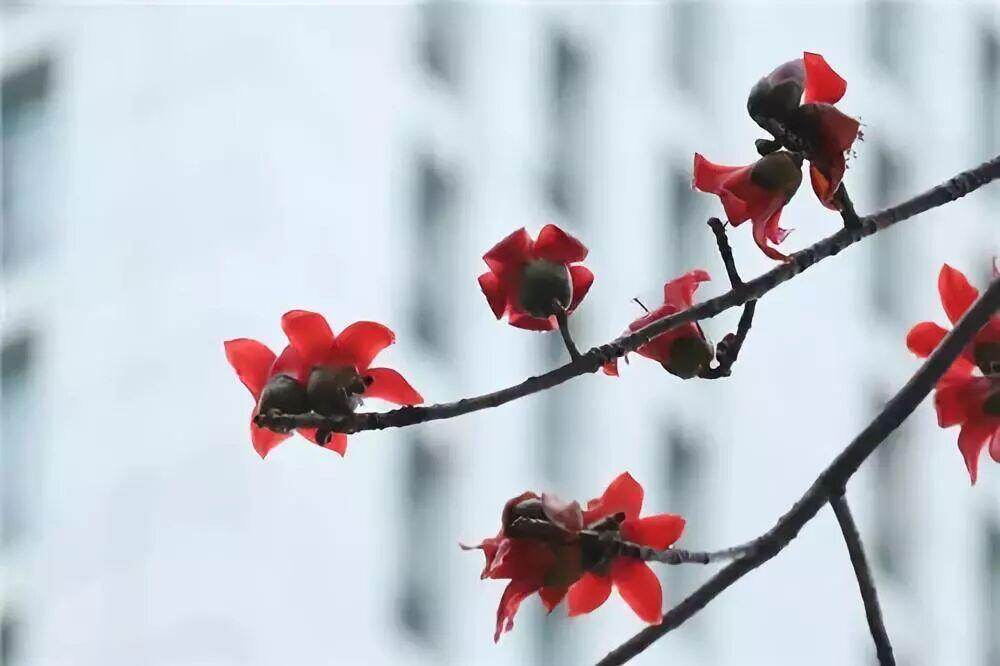 南都记者 胡可 摄 南都记者 胡可 摄