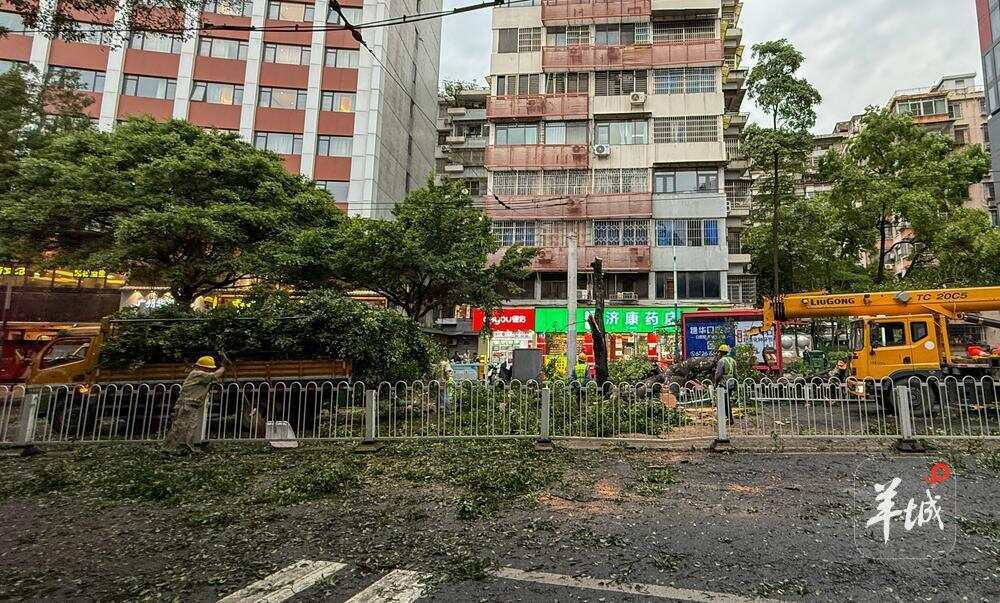 清明假期临近，广东需做好强对流天气引发各类灾害的防御工作