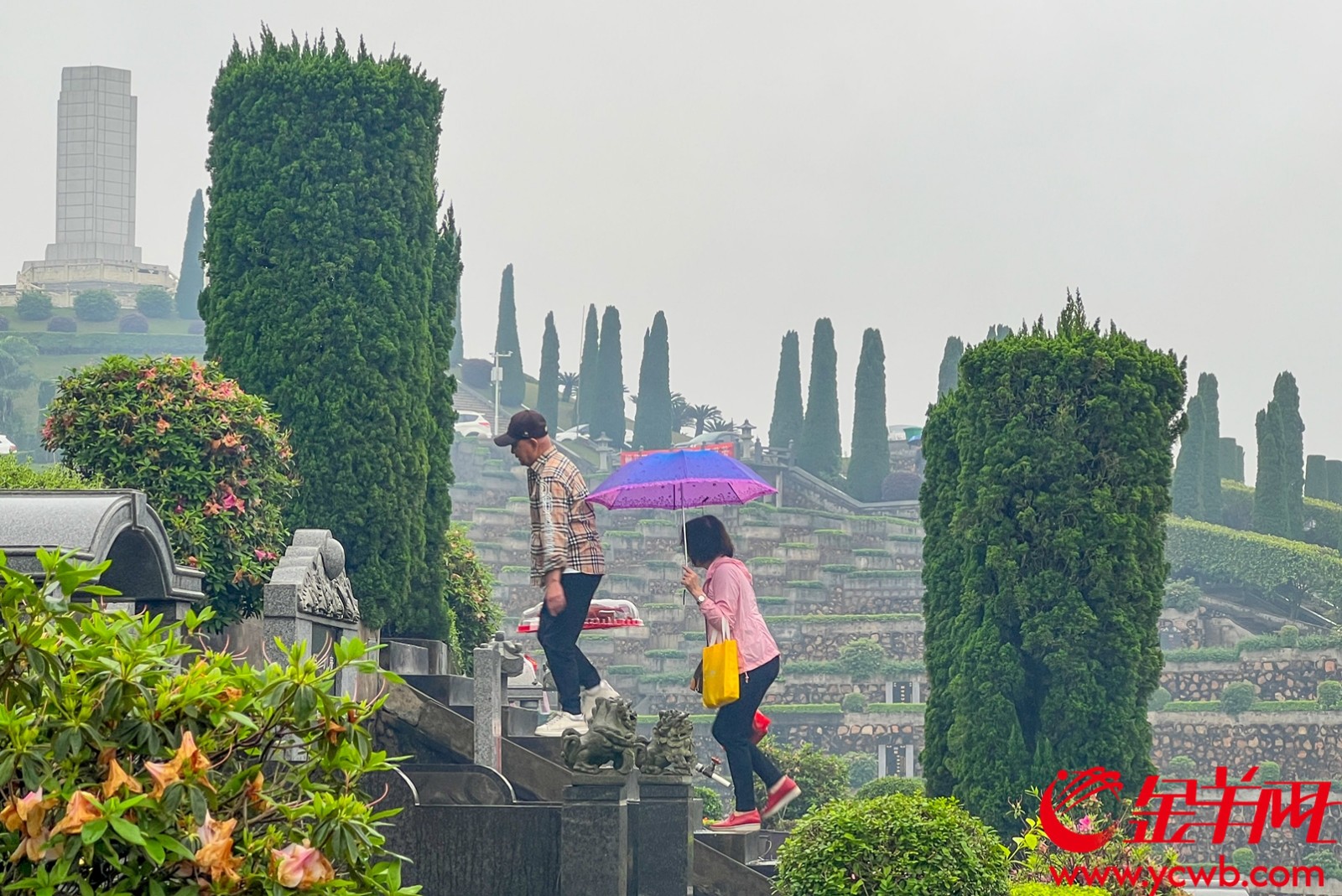 清明假期恰逢广东风雨重启期，公众外出拜祭需留意天气影响 梁怿韬 摄（资料图片）