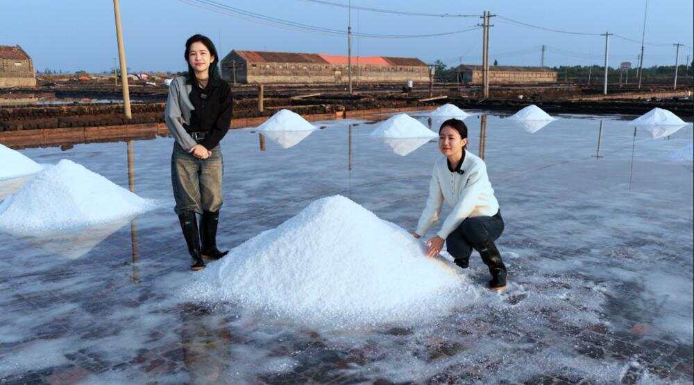 记者溯源“粤盐”生态海盐核心原产地徐闻盐场 记者溯源“粤盐”生态海盐核心原产地徐闻盐场