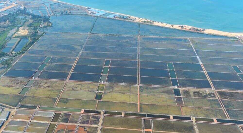 阳光下的徐闻盐场灯楼工区 阳光下的徐闻盐场灯楼工区