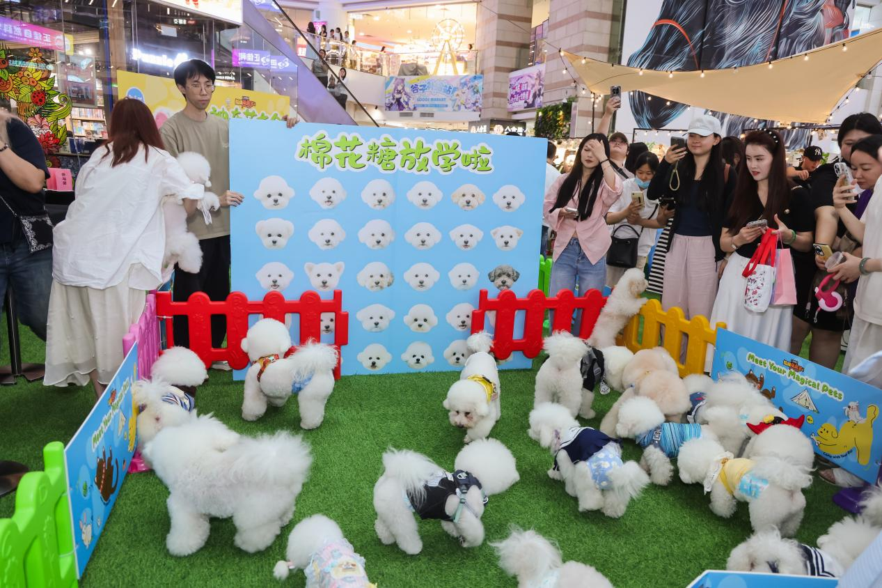  一场以“超级萌宠”为主题的春日节庆活动正在火热进行 景区供图