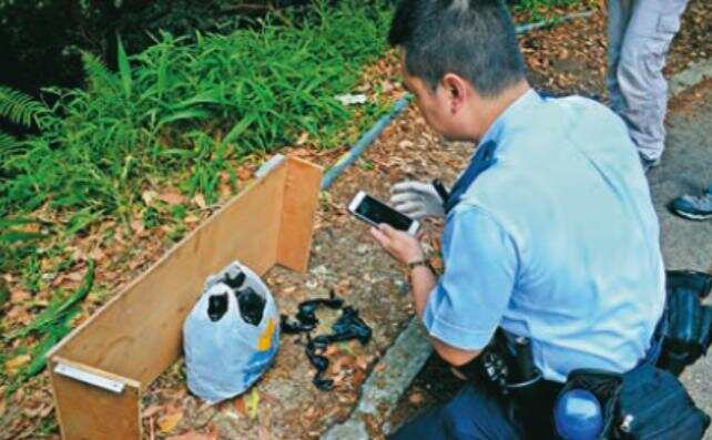  警方在山上找到怀疑是绑匪留下的胶袋。
