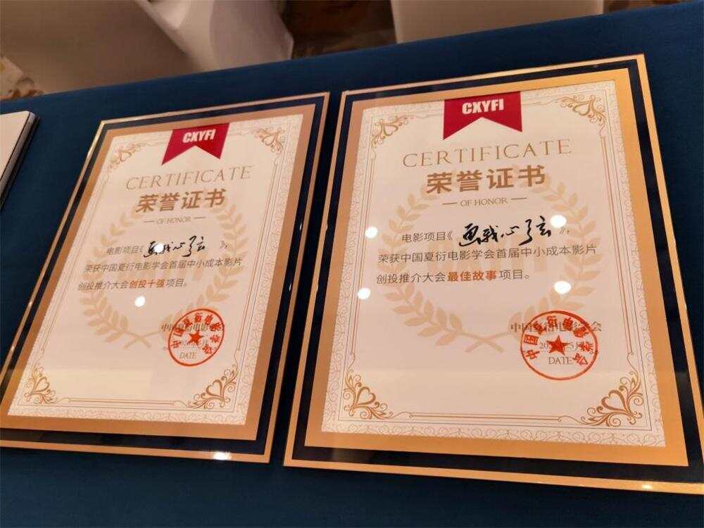  《画我心弦》入围决赛十强，并最终摘得“最佳故事项目”大奖。