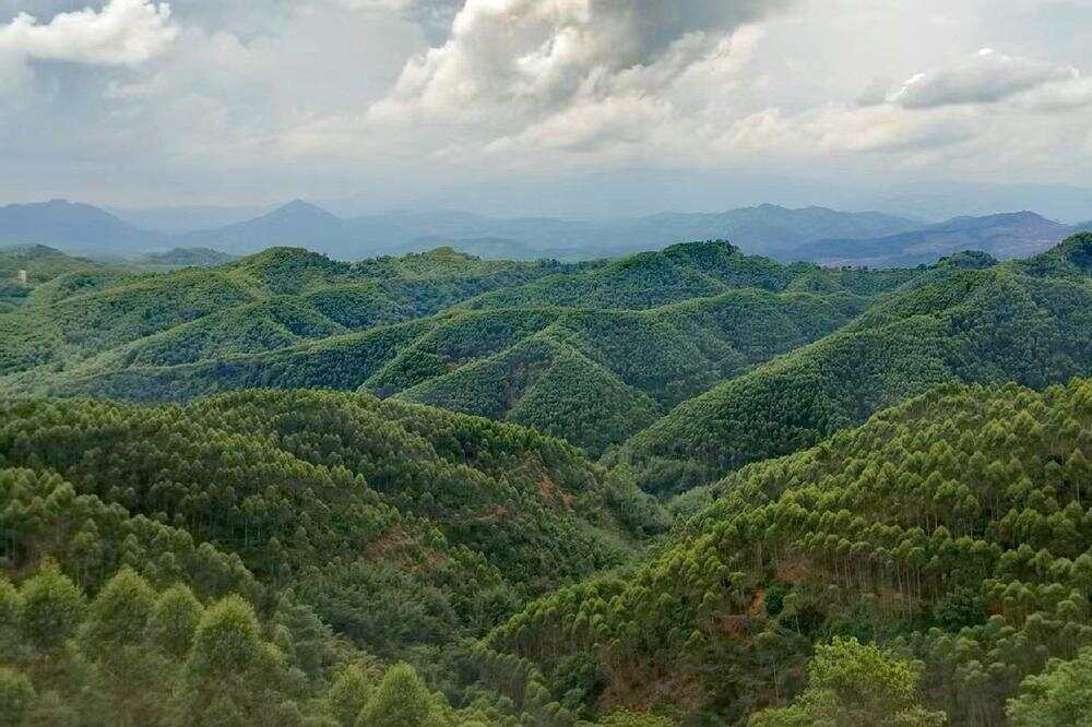 稀土矿的地貌特征