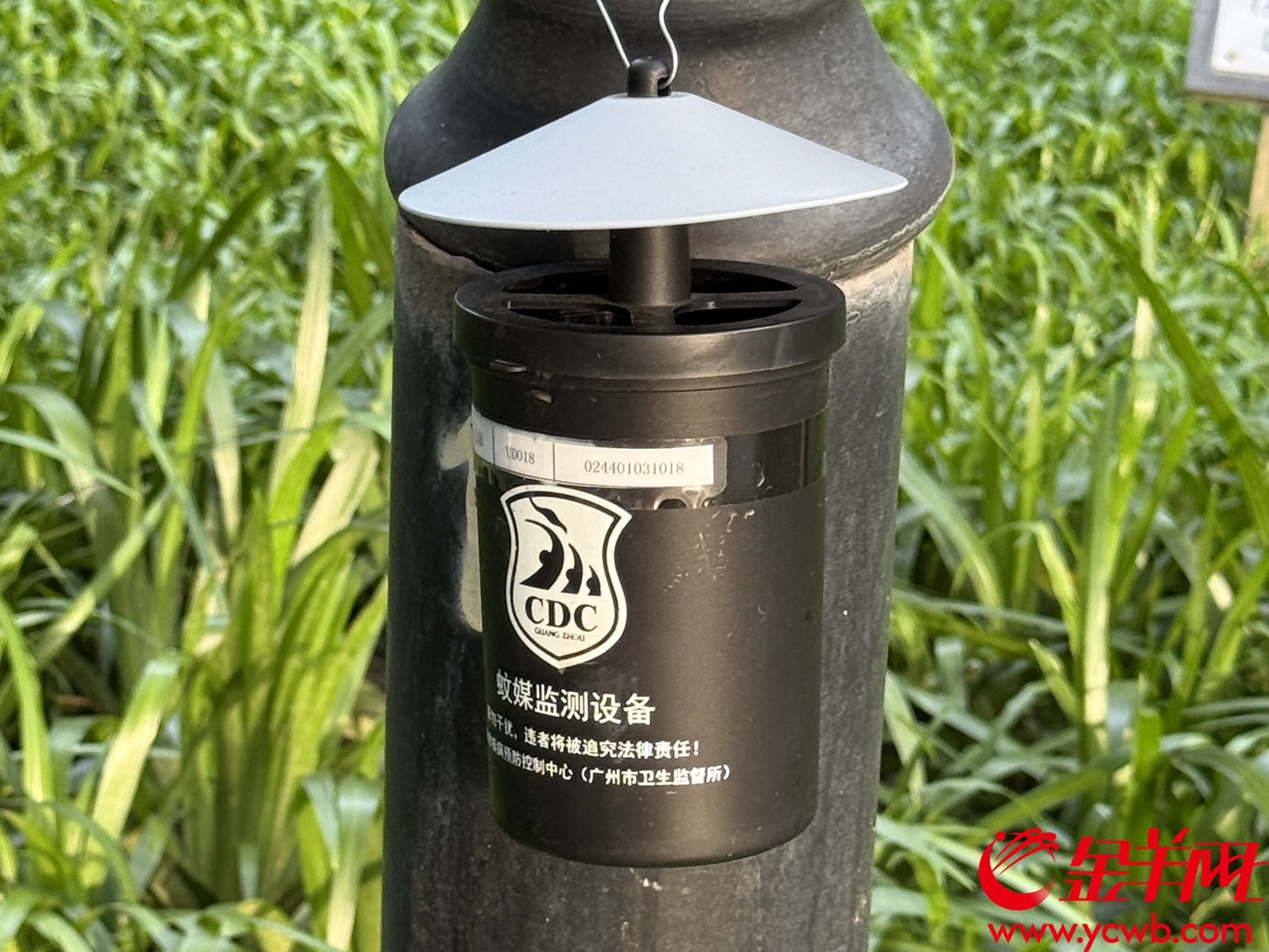 放置在户外的蚊媒监测设备 图/朱嘉乐 放置在户外的蚊媒监测设备 图/朱嘉乐