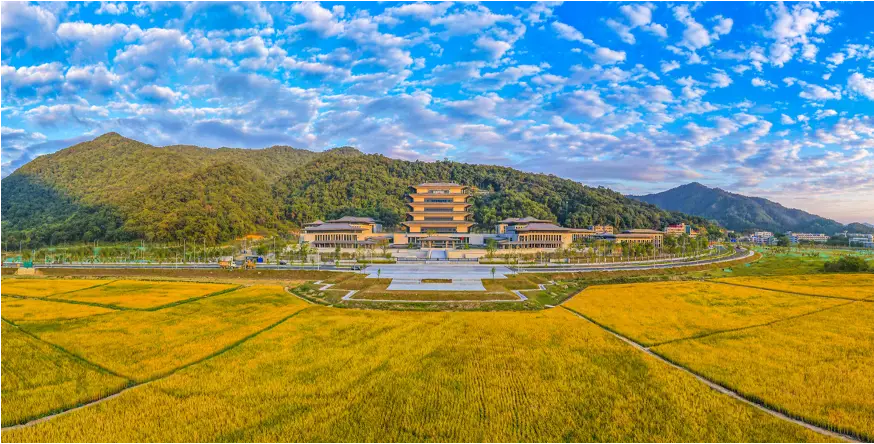 广州国家版本馆 广州国家版本馆
