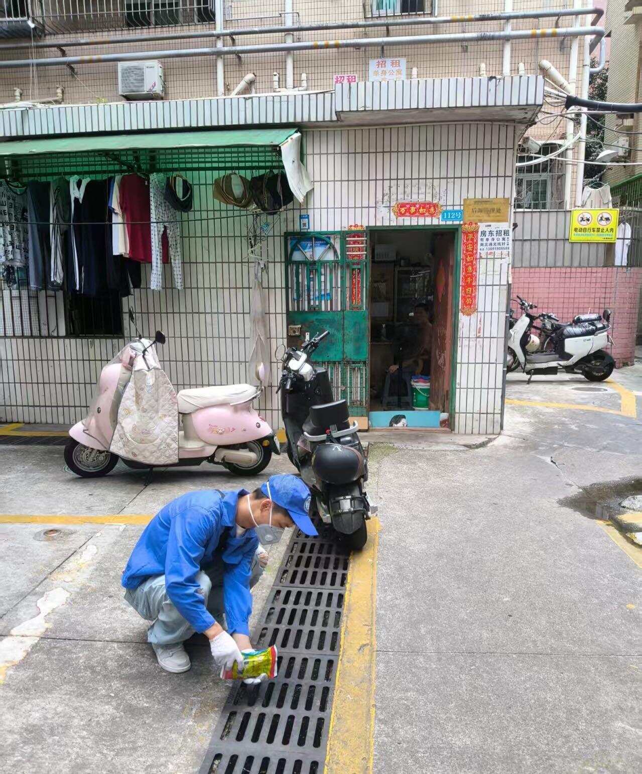 灭蚊现场