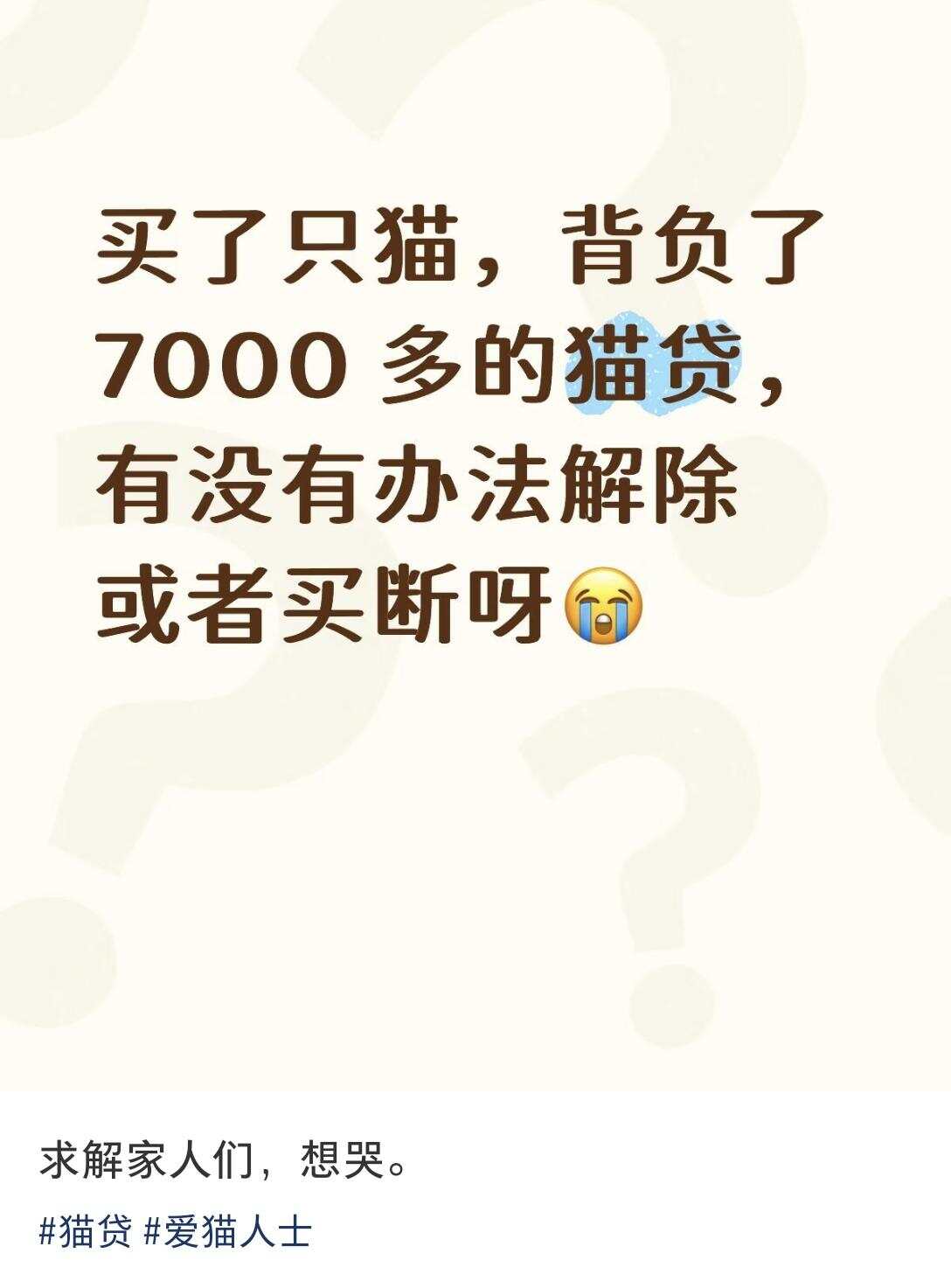  网友反映遭遇猫贷