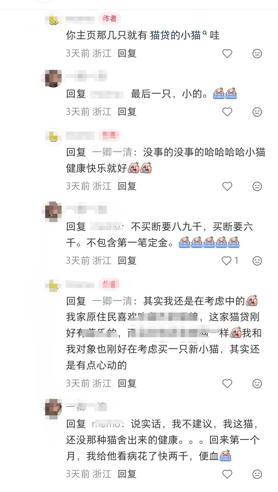 网友反映遭遇猫贷，还收到病猫